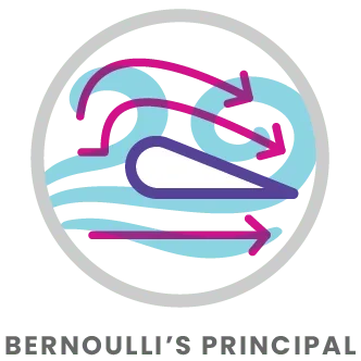 Bernoulli's Principle